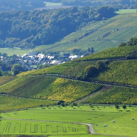 Altes Winzerhaus - *