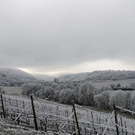 Prázdninový dům Altes Winzerhaus - *