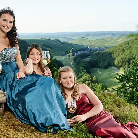 Hébergement de vacances Altes Winzerhaus - *