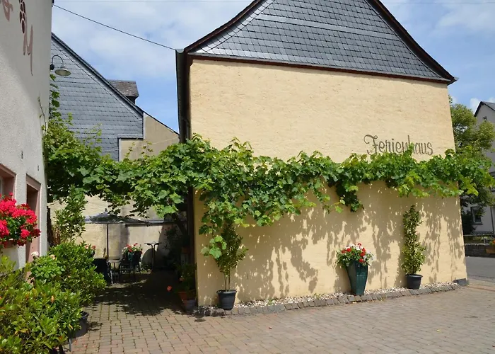 Dom wakacyjny Altes Winzerhaus - *