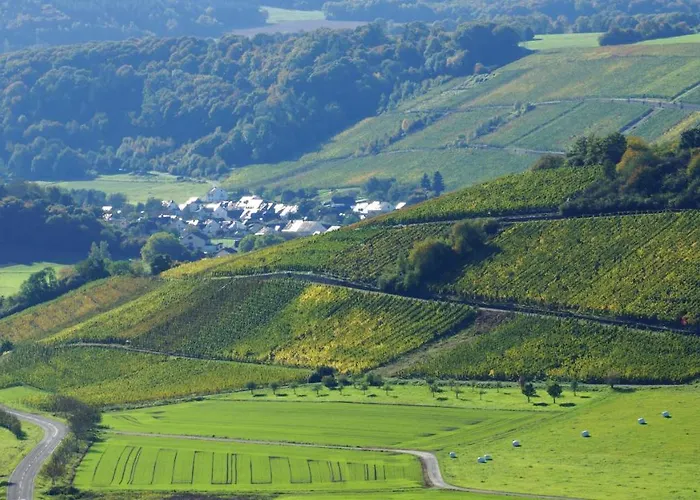 Altes Winzerhaus - *