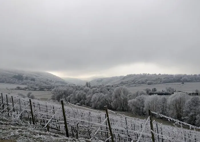 Dom wakacyjny Altes Winzerhaus - *