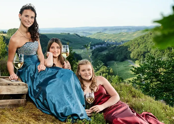 Dom wakacyjny Altes Winzerhaus - *